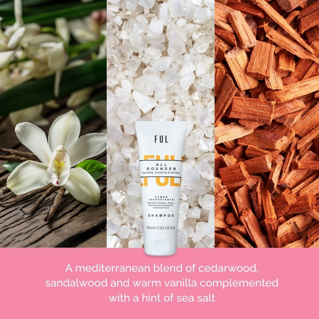All-Rounder Shampoo Mini 75ml – Holiday Shop - Image 5